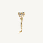 The Liane — ASSCHER 0.5 