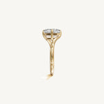 The Liane — RADIANT 0.5 