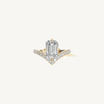 The Sagitta — EMERALD 0.5 