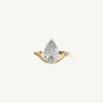 The Sancia — PEAR 0.5 