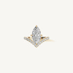 The Sagitta — MARQUISE 0.5 
