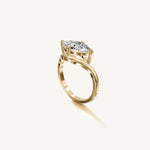The Sancia — MARQUISE 0.5 