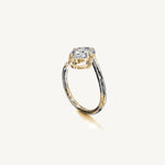 The Liane — OVAL 0.5 