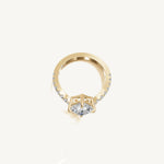 The Sagitta — ASSCHER 0.5 